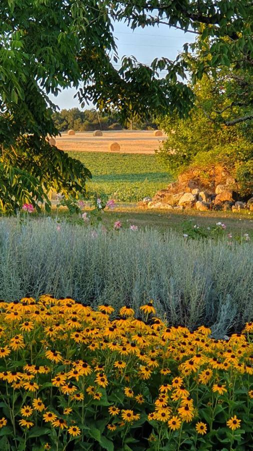 Au Calme Chez L'Habitant Foulayronnes Экстерьер фото